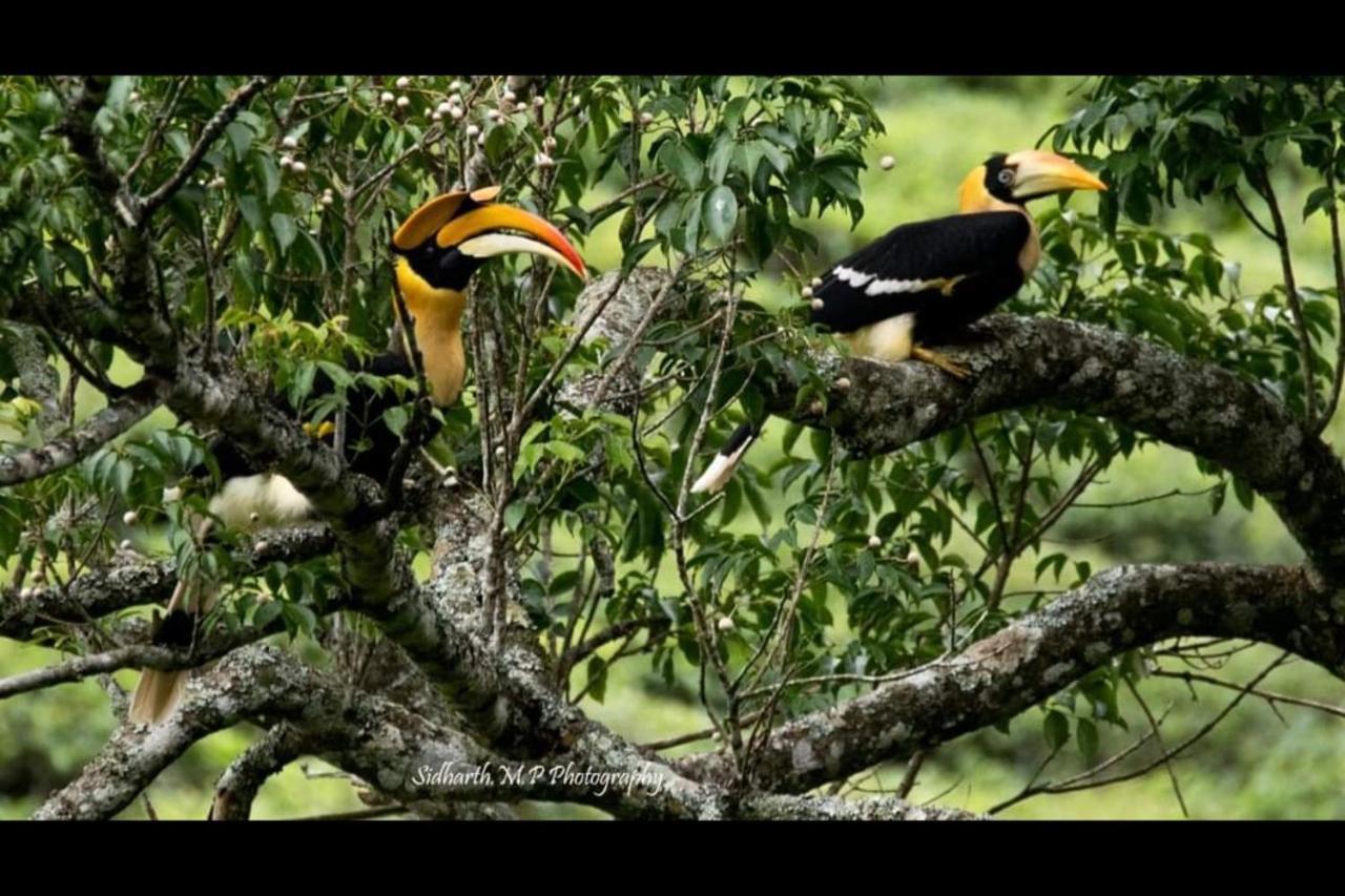 Hill Valley Farm House Nelliyampathy Luaran gambar