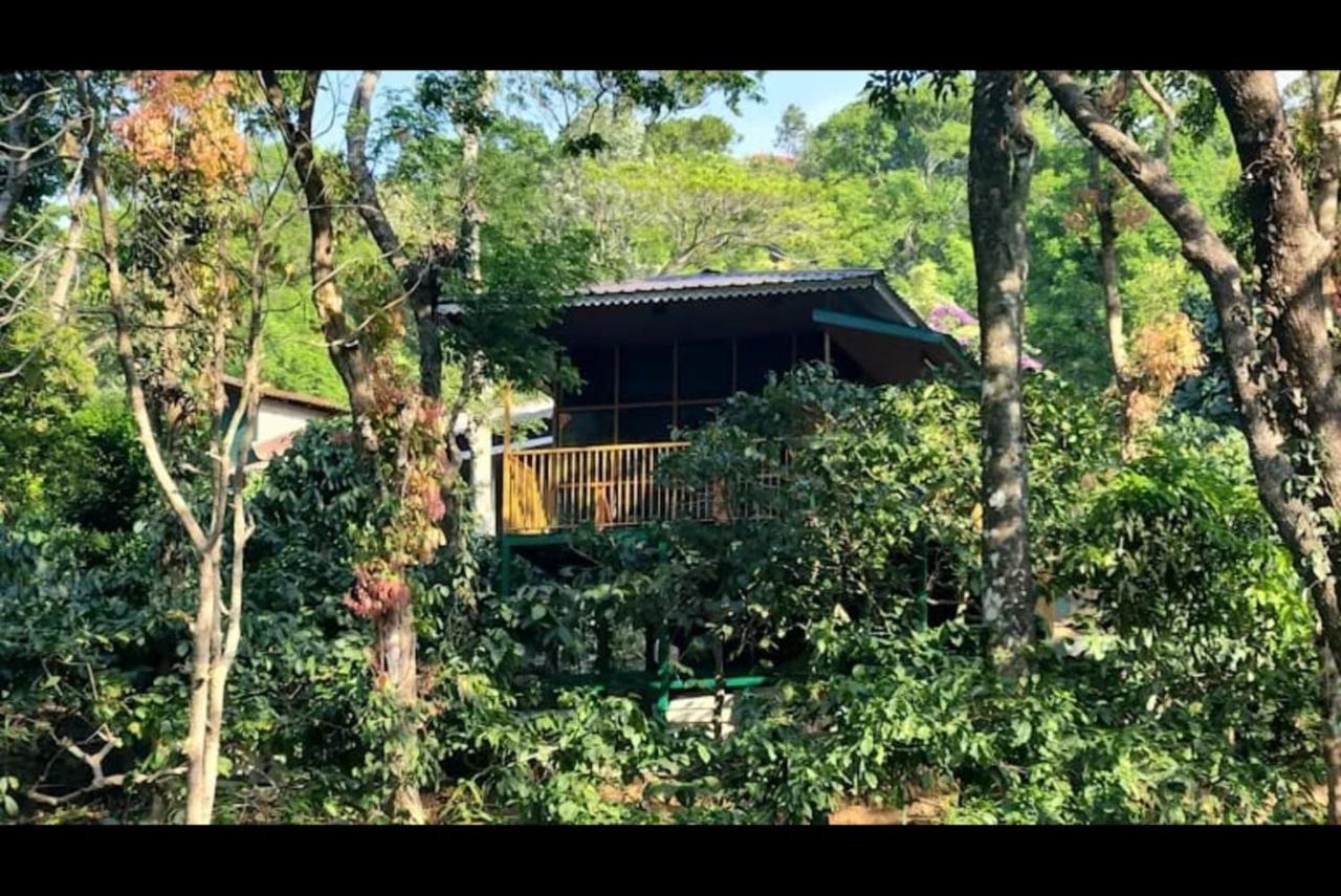 Hill Valley Farm House Nelliyampathy Luaran gambar