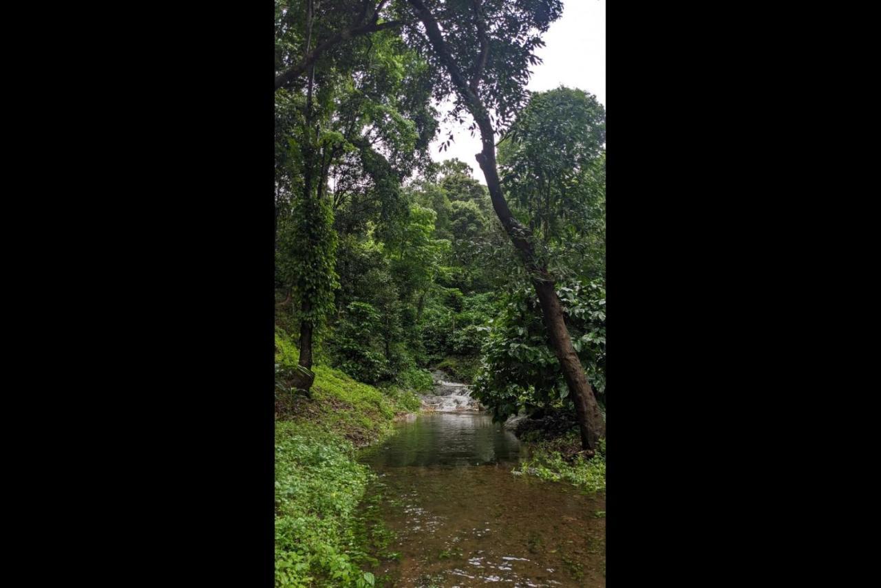 Hill Valley Farm House Nelliyampathy Luaran gambar