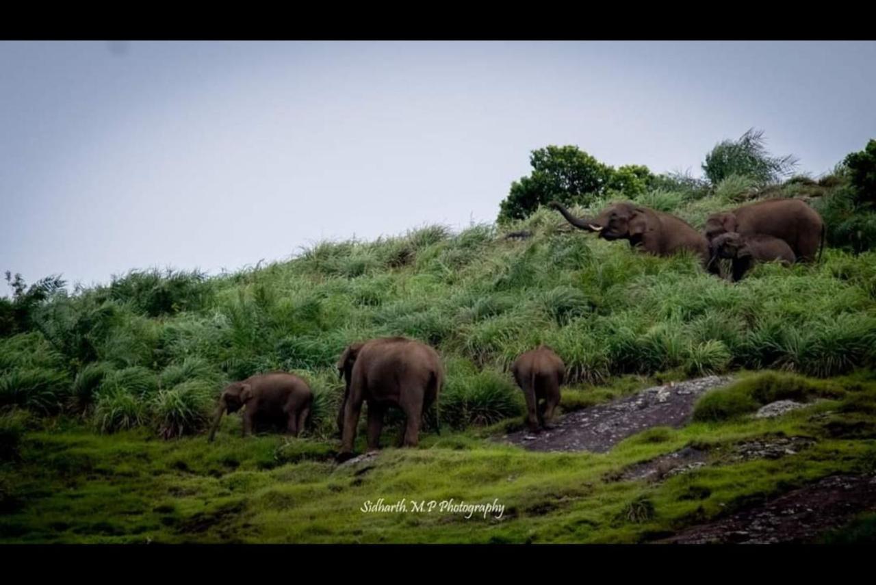 Hill Valley Farm House Nelliyampathy Luaran gambar