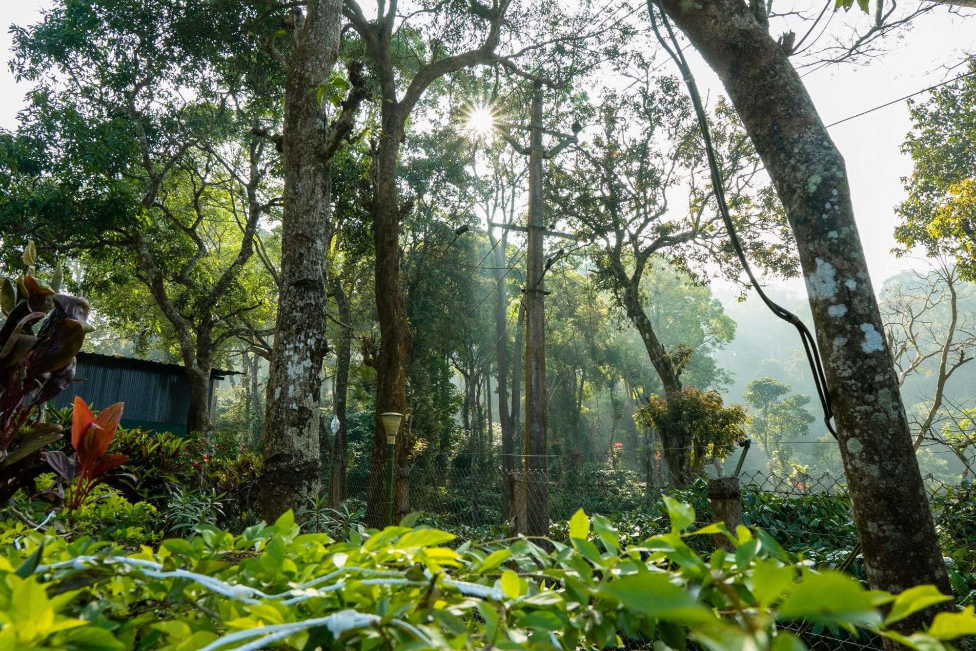 Hill Valley Farm House Nelliyampathy Luaran gambar