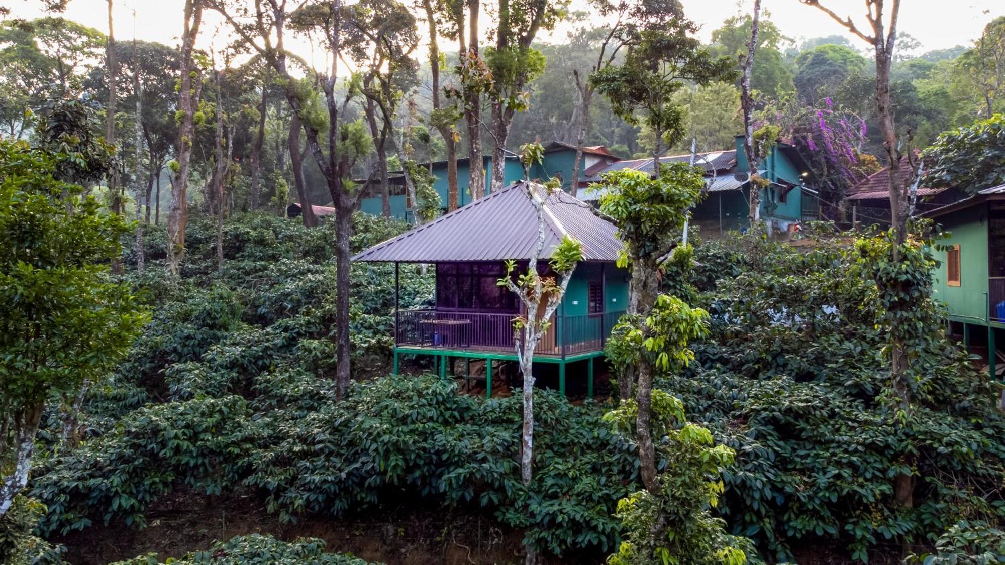 Hill Valley Farm House Nelliyampathy Luaran gambar